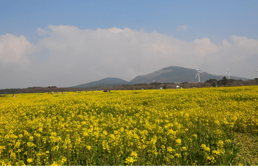 천국보다 아름다운