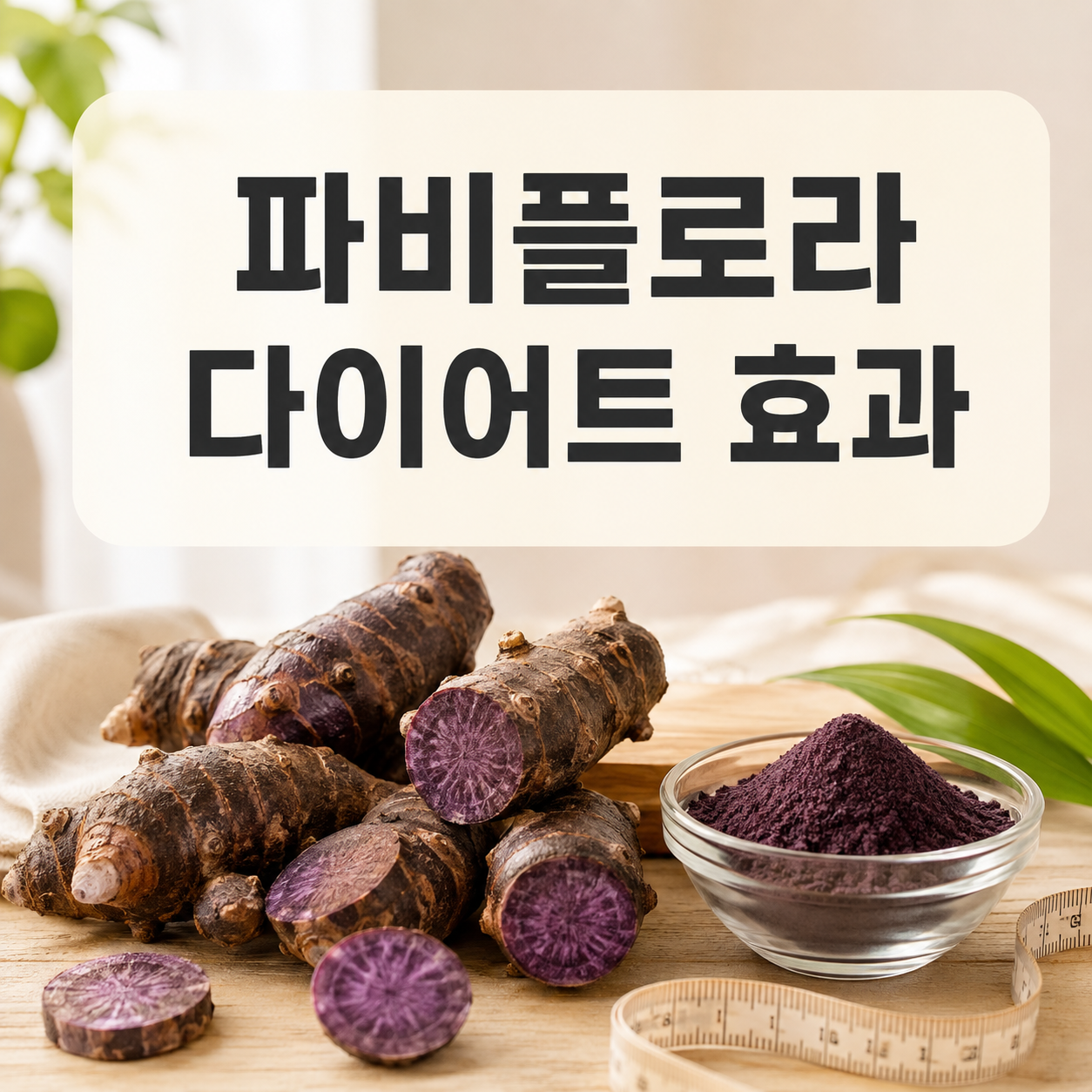 파비플로라 다이어트 효과｜복용 전 알아야 할 성분과 후기