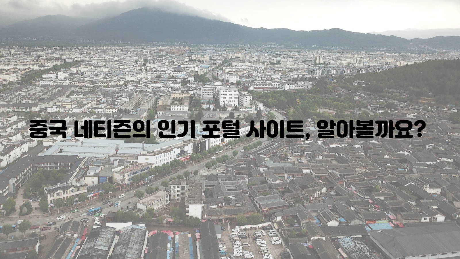 중국, 네티즌, 포털 사이트