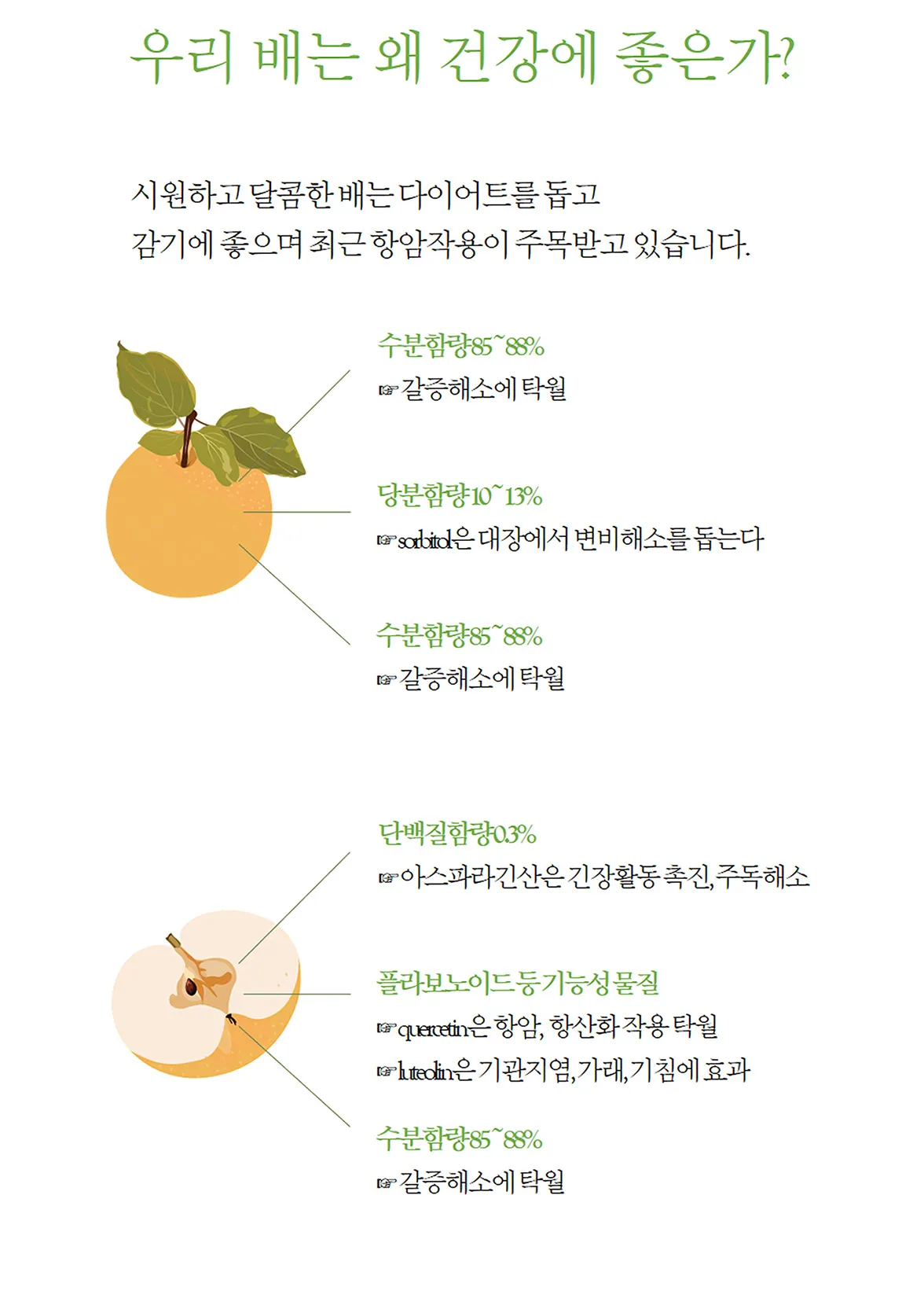배 재배 유인 전정 수분 수정 봉지 재배_1