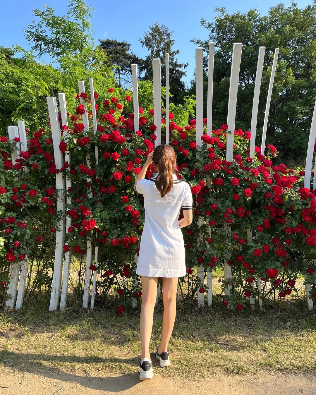 금채림 기상캐스터