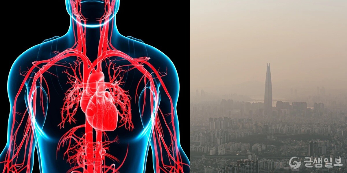 봄철 심혈관 질환 관리 관련 사진