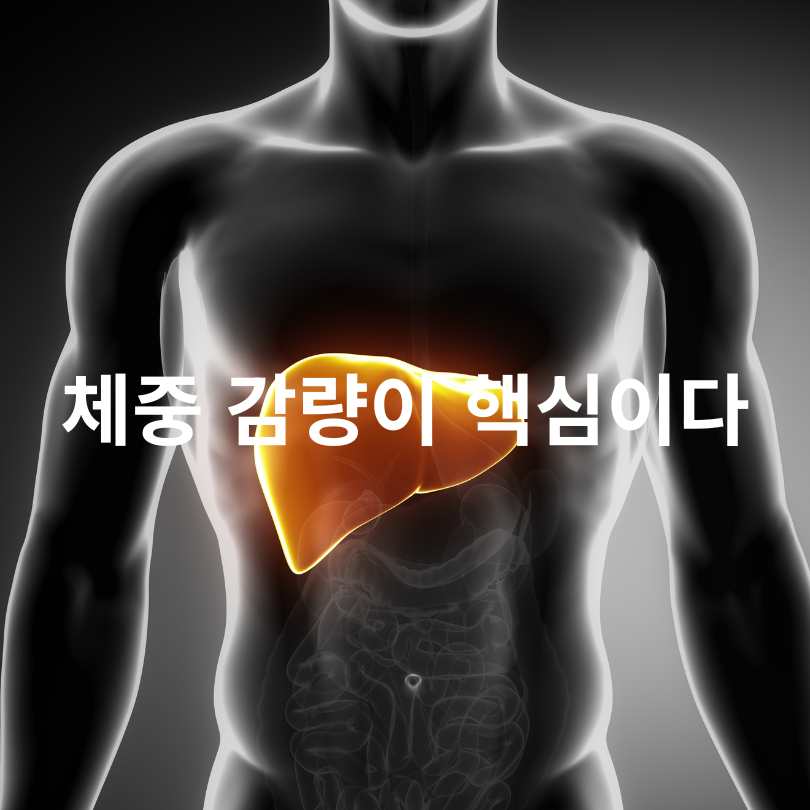 지방간 없애는 방법 7가지!
