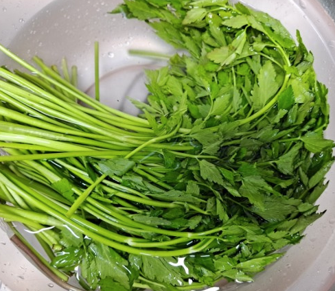 청정 수생채소 미나리 효능