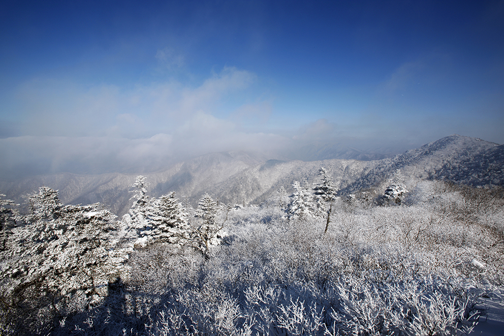 오대산 설경
