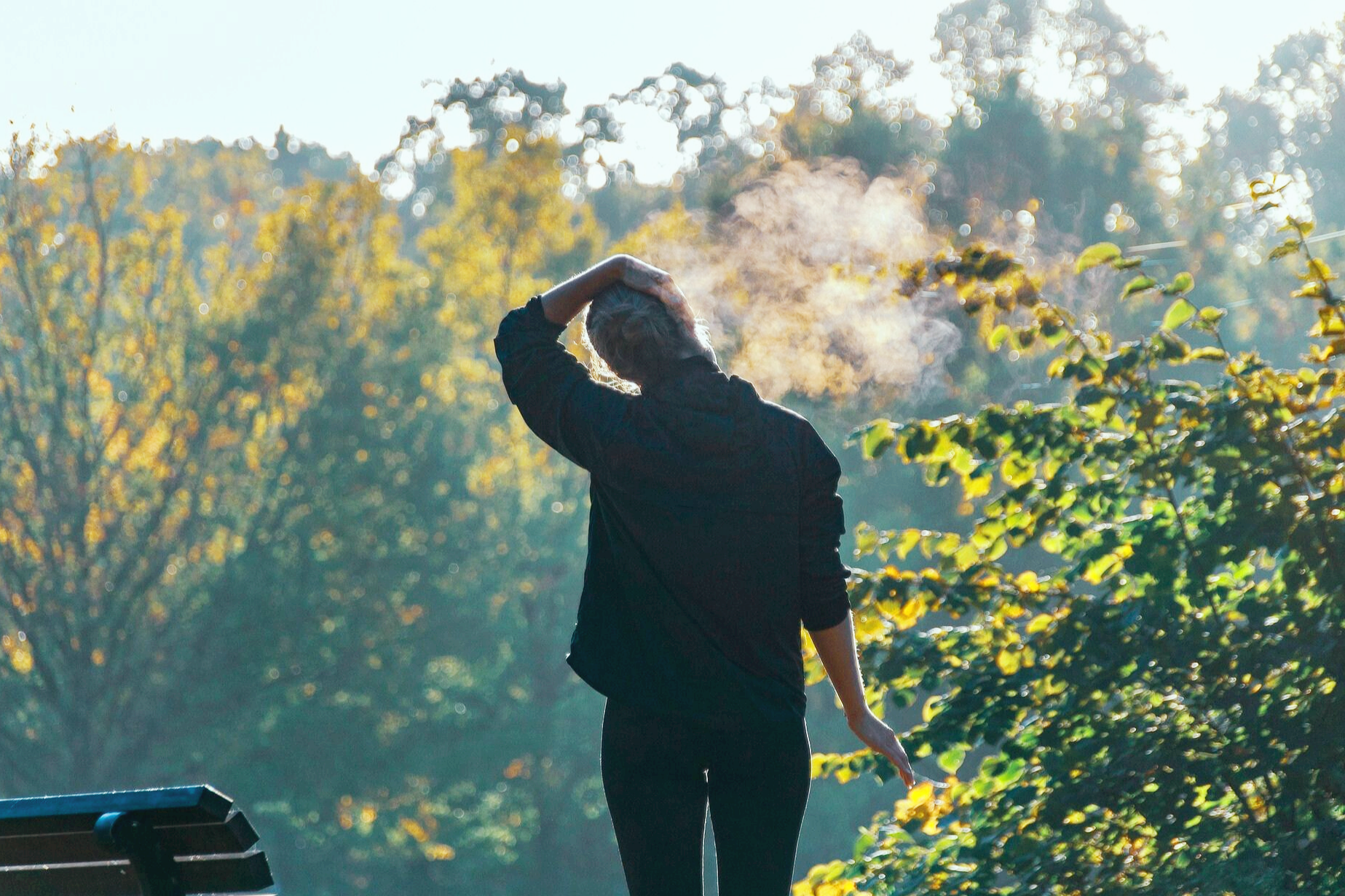 허리 스트레칭 사진