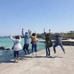 렌터카보다 효율적인 제주 관광택시, 중형·대형 제주택시투어 비교! 1일 코스별 예산 가이드