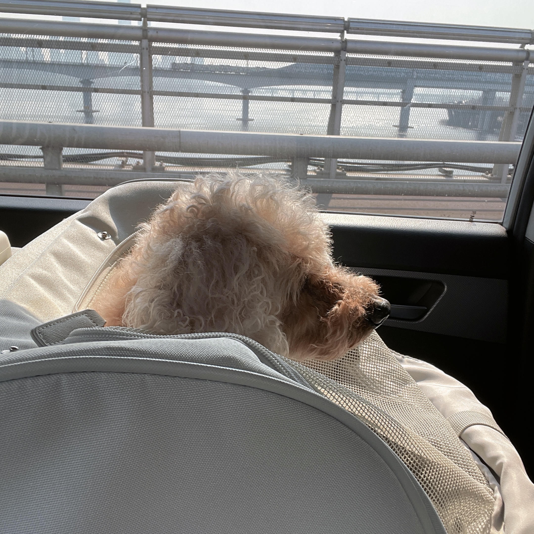 후쿠오카 여행