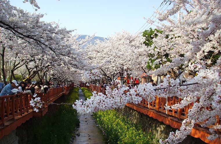 여좌천 로망스 다리