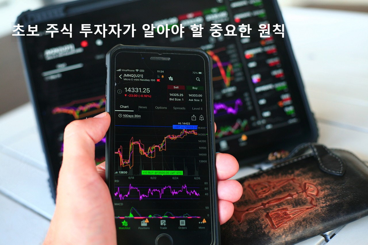 초보 주식 투자자가 알아야 할 원칙