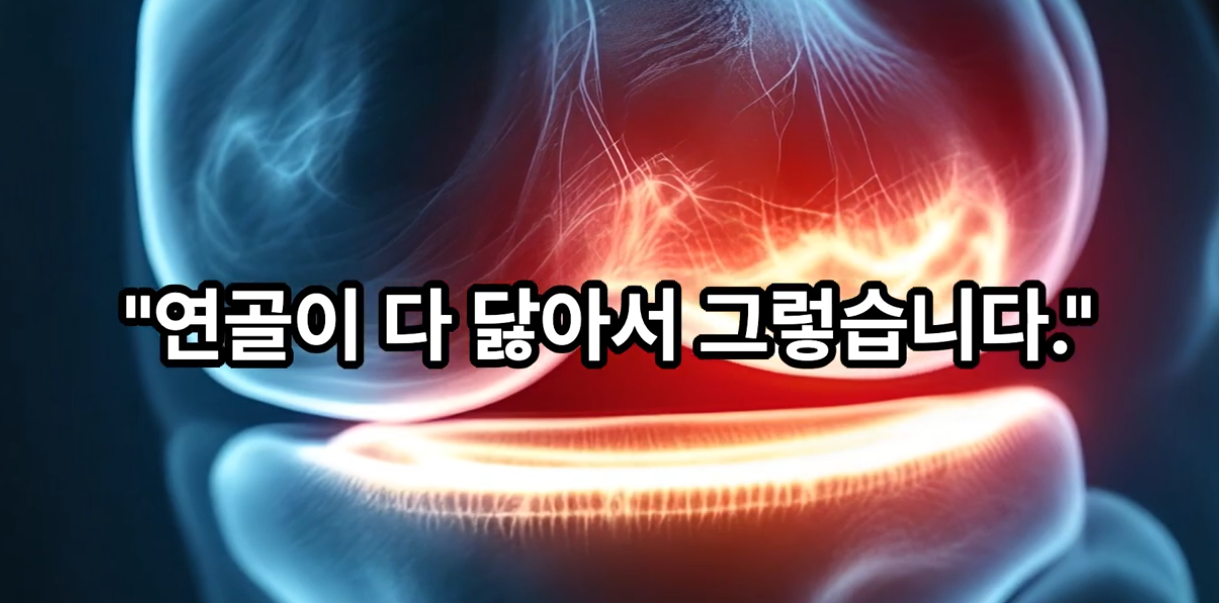 정말 연골이 다 닳아서 아프신 걸까요? 병원에서 듣지 못한 통증의 진짜 이야기