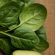 당뇨에 좋은 음식과 나쁜 음식