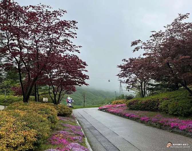 하이원CC골프연습장