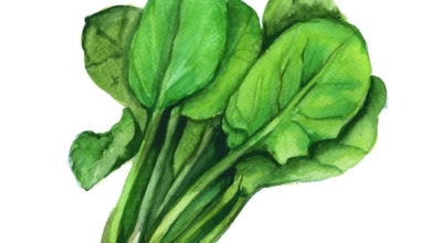 췌장에좋은음식이미지