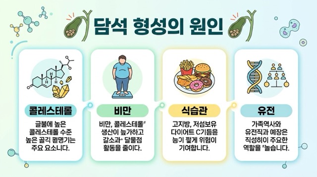 담낭 제거 후 담즙 흐름 소화 변화 설명