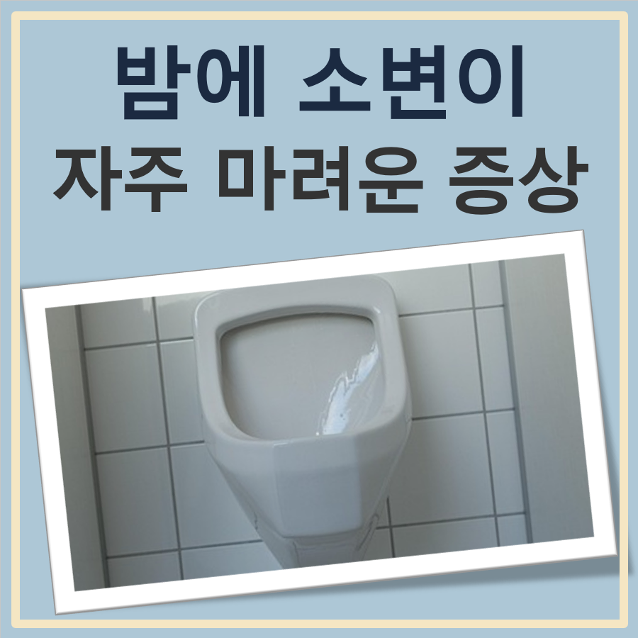 밤에 소변이 자주 마려운 증상