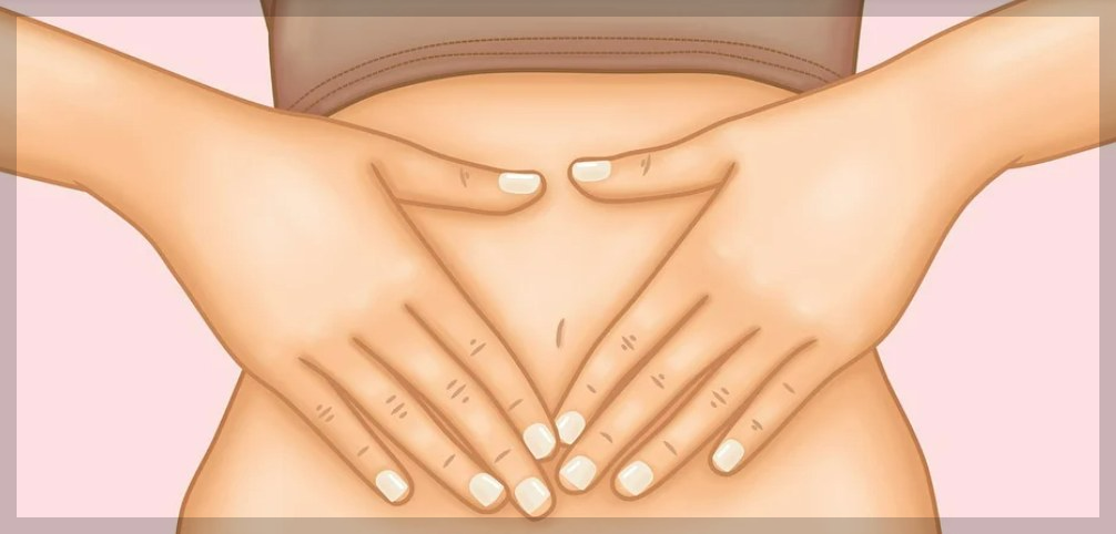 장건강-복부사진