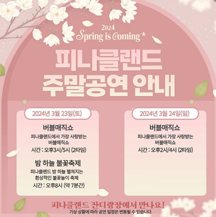 피나클랜드 버블매직쇼