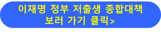저출생 종합대책