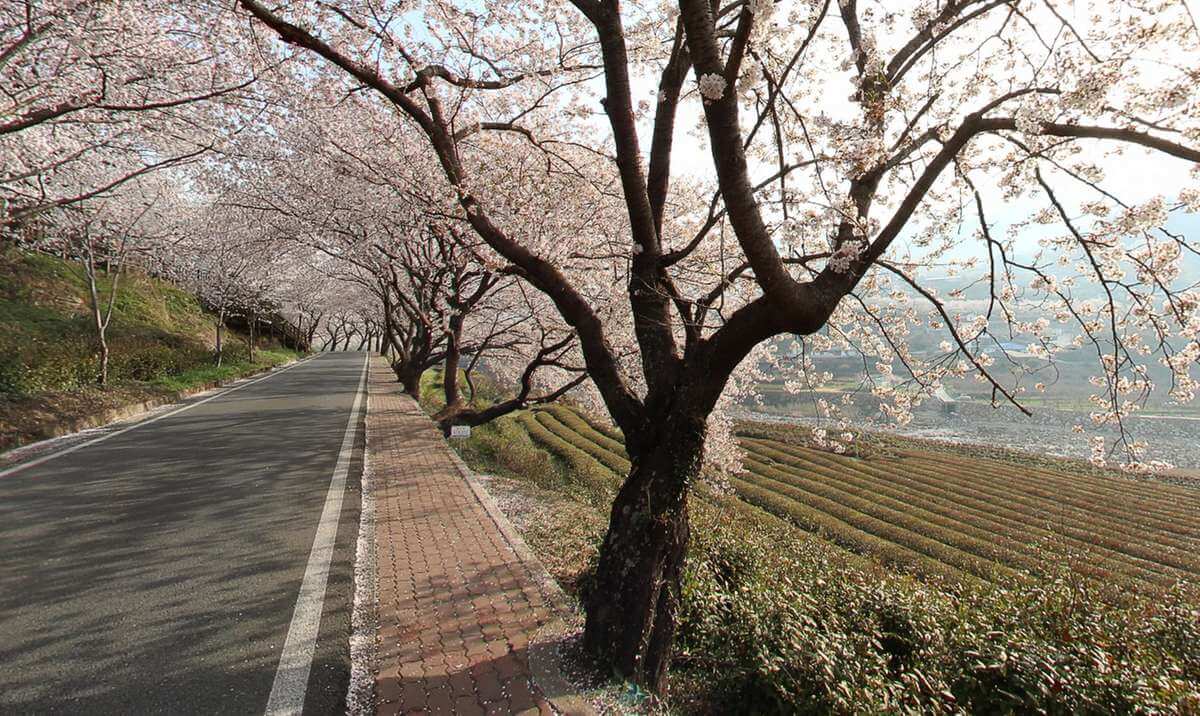 3월국내여행지BEST5