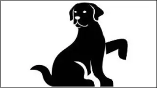 꼭 알아야 할 사항