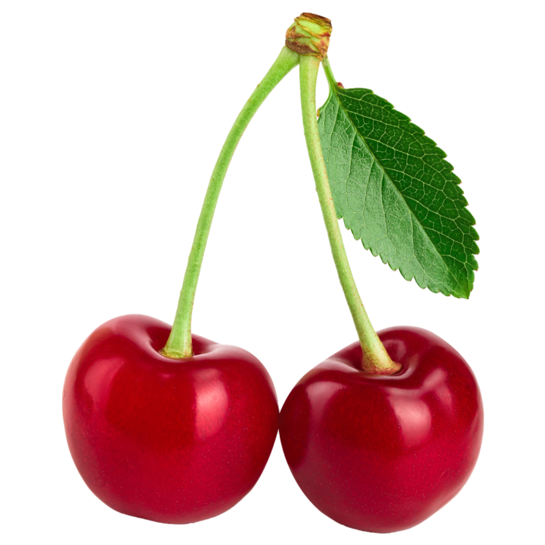 멜라토닌과 관련된 사진입니다.