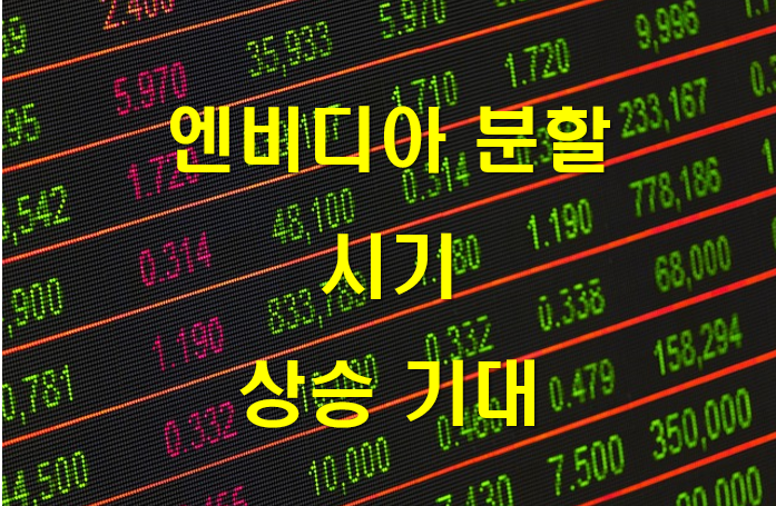 엔비디아 분할