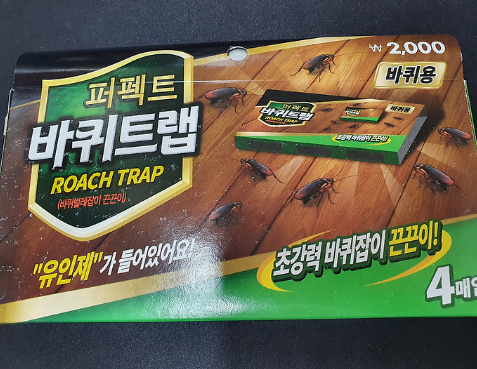 다이소 바퀴벌레 약1