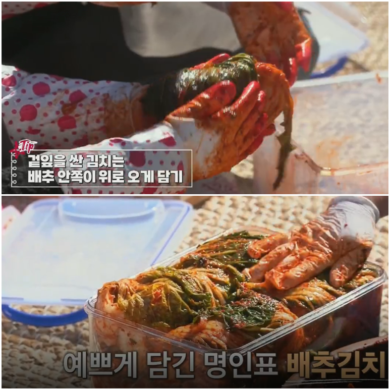 김장김치