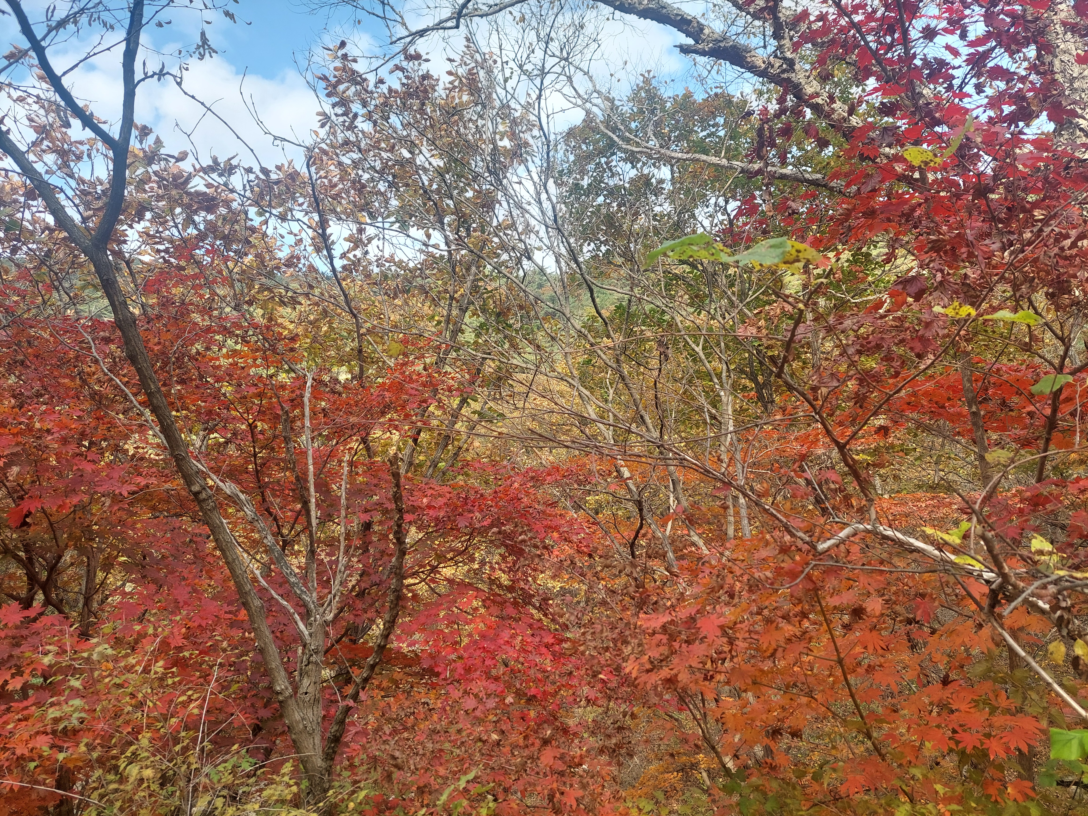우이령길