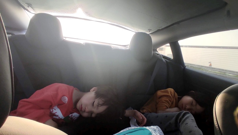 돌아오는길 같은 포즈로 잠든 쿠앙이 쿠웅이