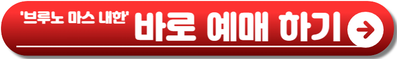 브루노 마스 내한