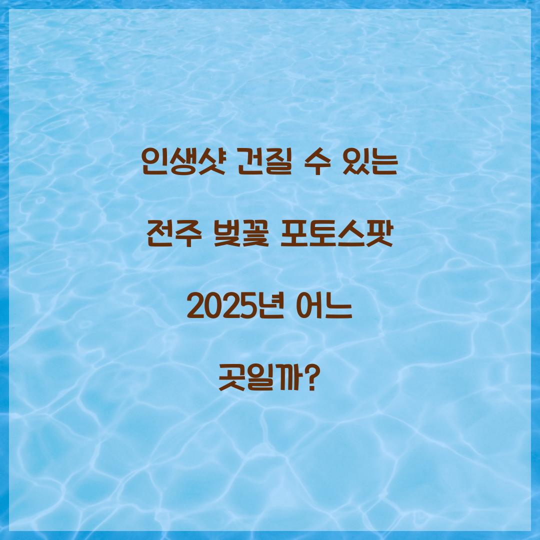 인생샷 건질 수 있는 전주 벚꽃 포토스팟