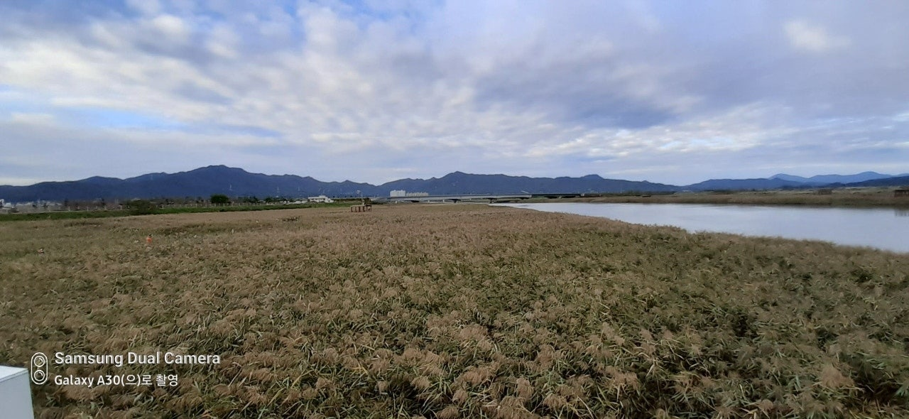 강진만 생태공원
