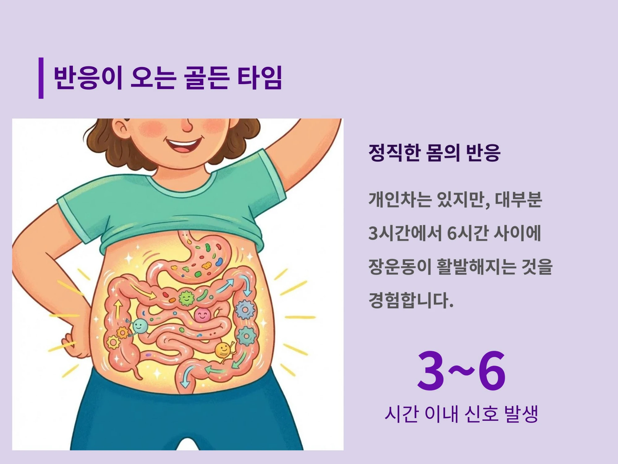 사람의 복부와 장운동을 형상화한 일러스트와 함께 개인차는 있지만 보통 3~6시간 이내에 신호가 온다는 골든 타임 설명