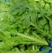 쑥갓의 효능 부작용 고르는법 칼로리 꽃