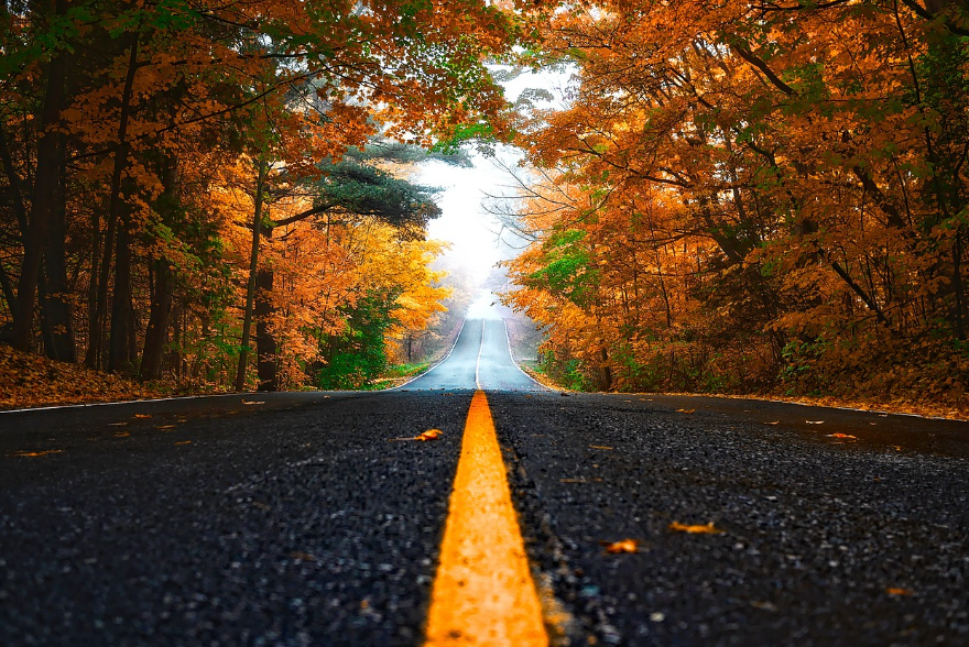 서울 근교 단풍 드라이브 코스 추천 5선