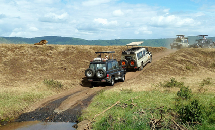 사파리 여행시 주의할 점