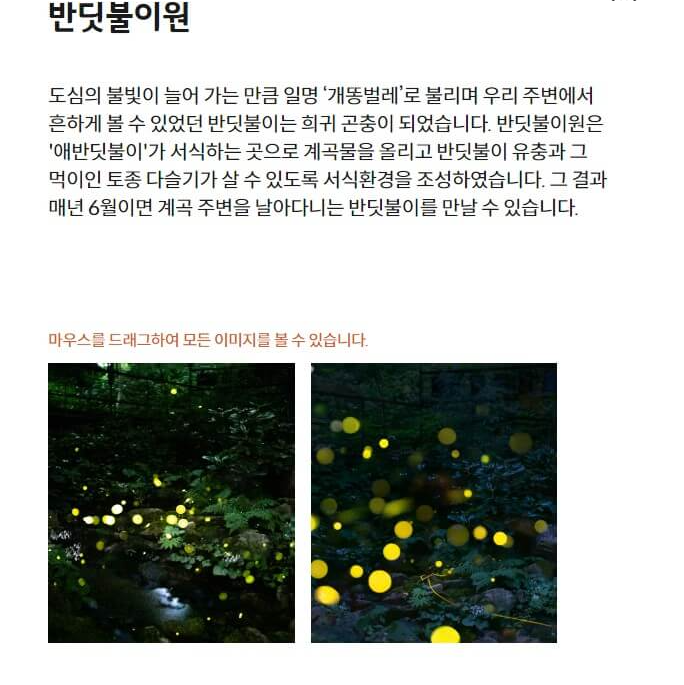 반딧불이원