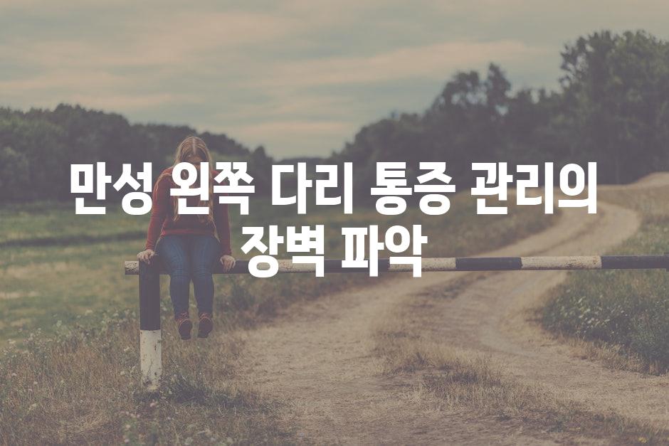 만성 왼쪽 다리 통증 관리의 장벽 파악