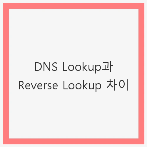 IP와 도메인 간의 연결
