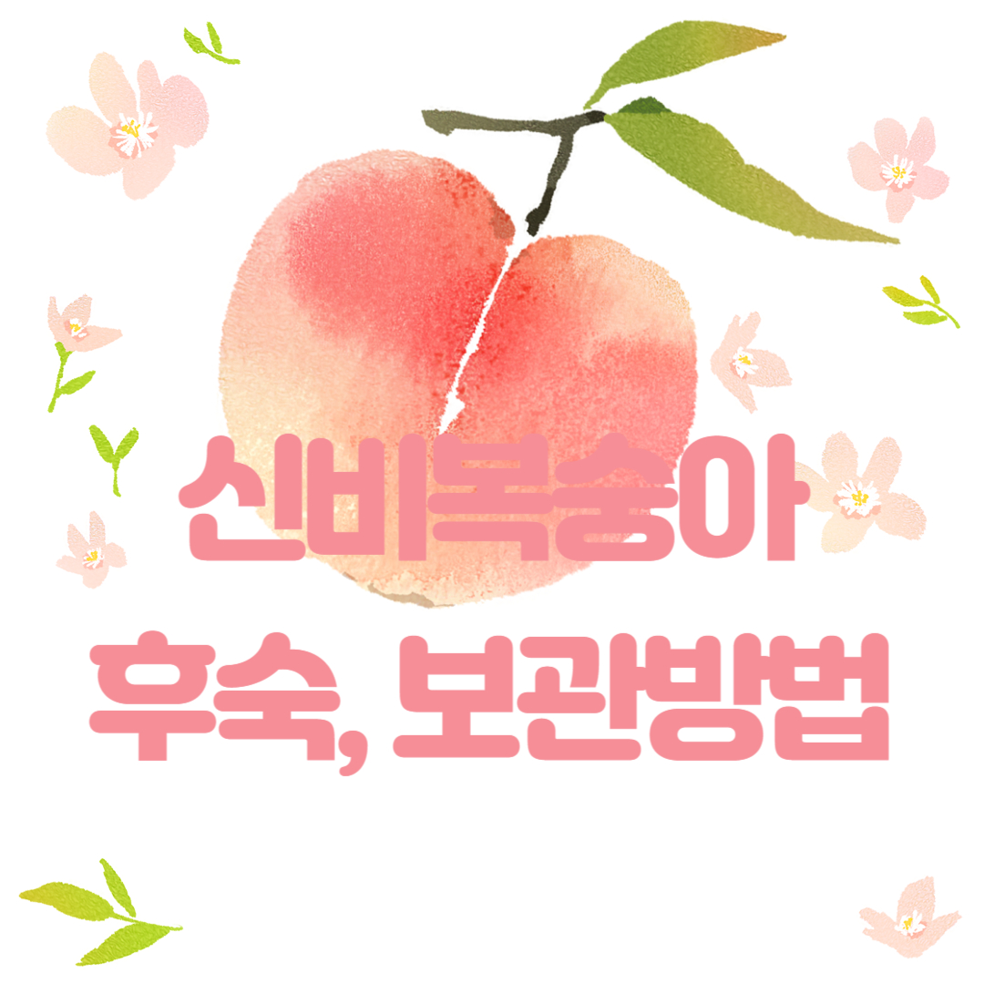 신비복숭아 후숙, 보관방법