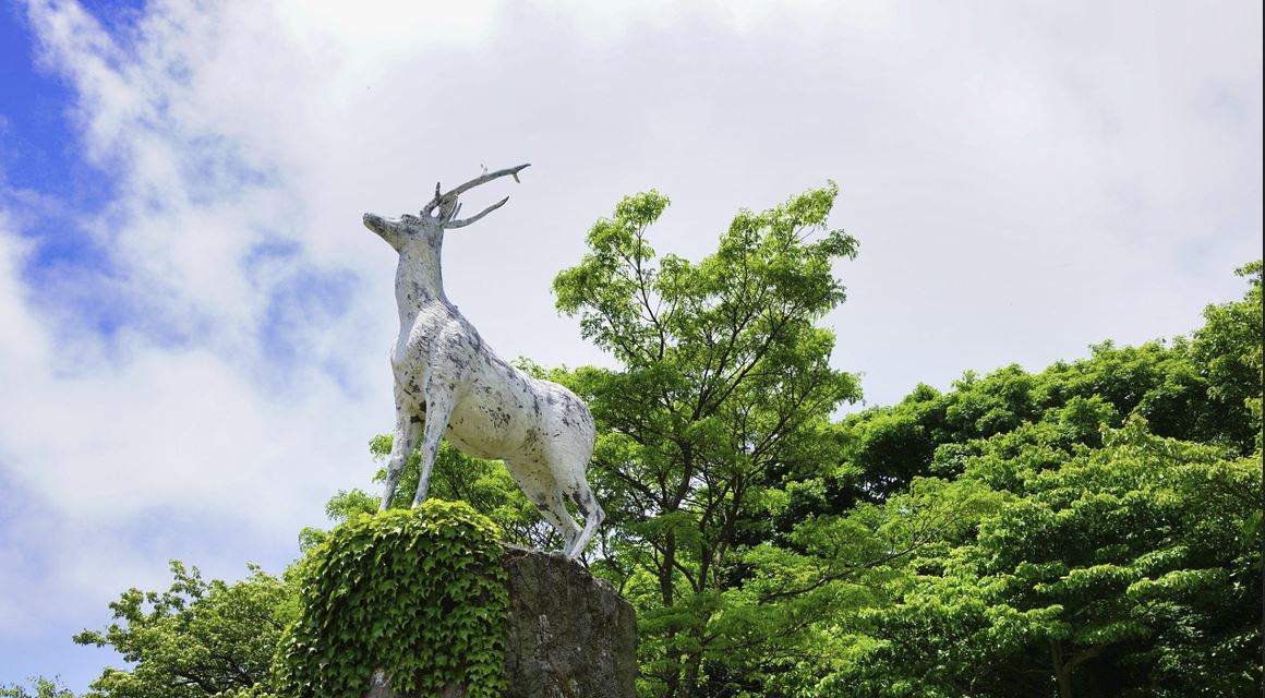 죽은 사람 꿈해몽 7가지