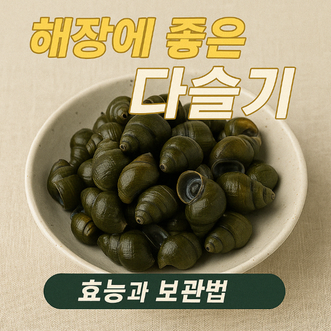 해장에-좋은-다슬기의-효능에-대한-주제-이미지