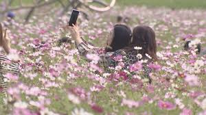 9월 꽃 축제 하는 곳