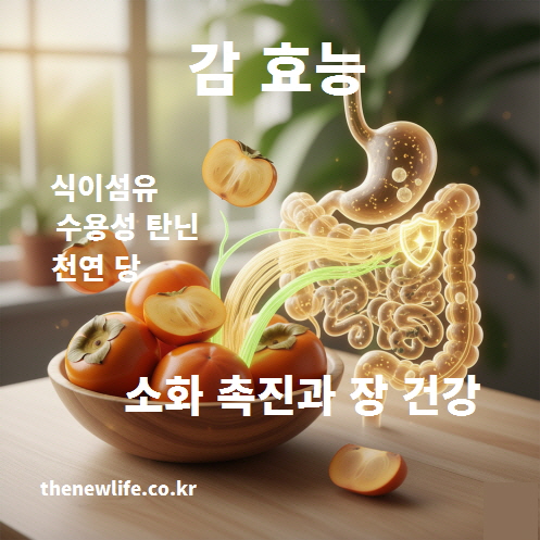 감 효능을 상징하는 인공 이미지, 식이섬유와 수용성 탄닌이 장 건강과 소화 촉진에 도움을 주는 모습을 표현한 그래픽