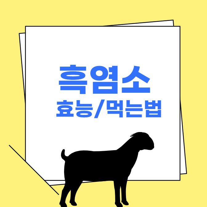 흑염소 효능