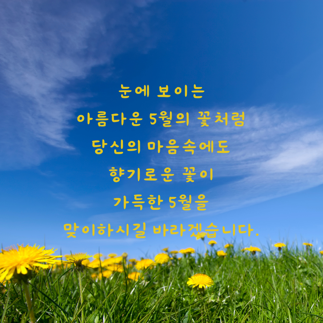 5월 인사말 문구 모음집 이미지