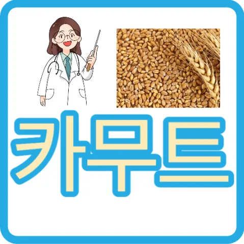 카무트 효능 골드카무트효소 카무트 가격 카무트 호라산밀 1kg