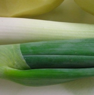 대파 효능과 부작용 고르는법